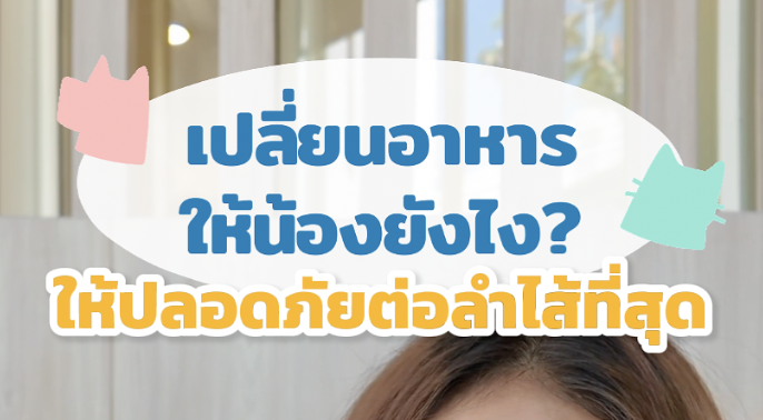เปลี่ยนอาหารให้สัตว์เลี้ยงยังไง ให้ปลอดภัยที่สุด